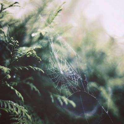 8188www威尼斯手机app下载